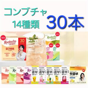 TEAZEN ティーゼン コンブチャ 14種類 選択可能 各5g ×30
