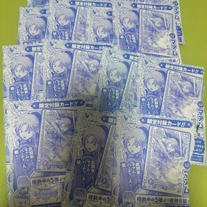 ダイの大冒険 Vジャンプ限定付録カード マァム 15枚セット