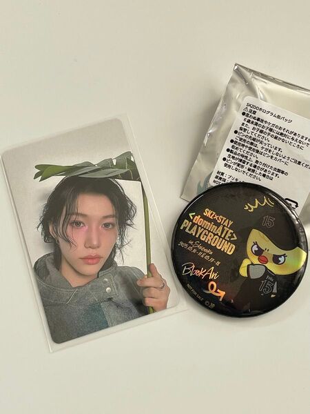 StrayKids フィリックス 5/11限定トレカ ポガリ 缶バッジ 会場限定