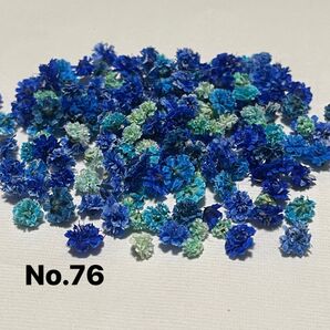 No.76かすみ草ドライフラワーブルーMIX在庫1点