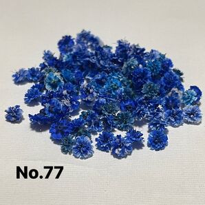 No.77かすみ草ドライフラワーブルーMIX