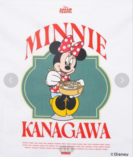 DISNEY MY HOME TOWN COLLECTION 47PREF神奈川県 Tシャツ