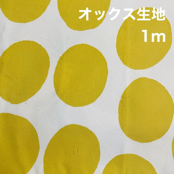 SALE 顔料染め ポルカドット生地 オックス生地 はぎれ 1m