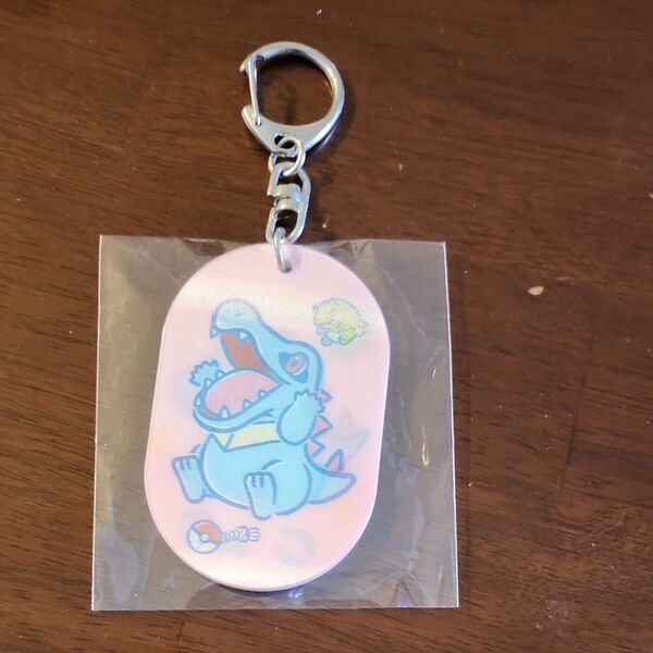 ポケモン★ワニノコ★チェンジングアクリルキーホルダーコレクション かみつき隊