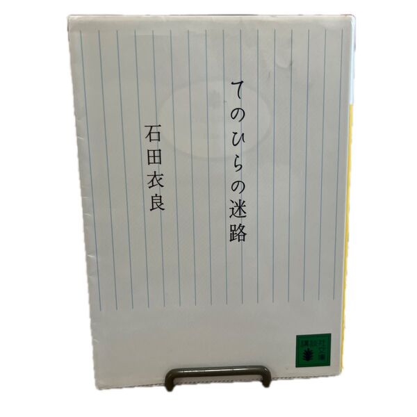 てのひらの迷路 (講談社文庫 い101-3) 石田衣良/〔著〕