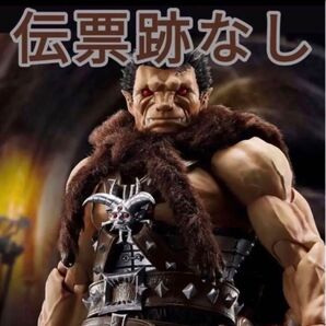 S.H.Figuarts 不死の(ノスフェラトゥ)ゾッド プレミアムバンダイ