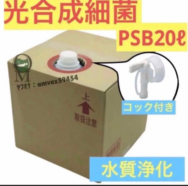 専用ダンボール 【送料無料】濃縮 光合成細菌PSB バクテリア メダカ 金魚 グッピー 稚魚 針子 20Lバロンボックス