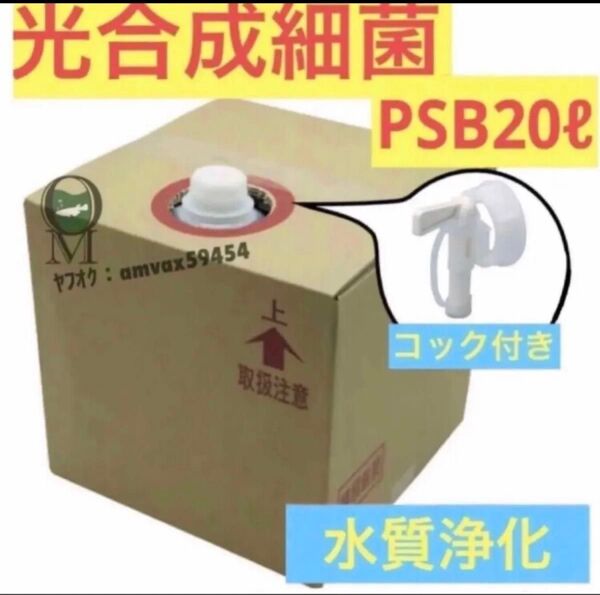 専用ダンボール 【送料無料】濃縮 光合成細菌PSB バクテリア メダカ 金魚 グッピー 稚魚 針子 20Lバロンボックス