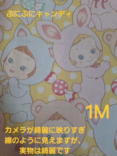 キルトゲイト ぷにぷにキャンディ 大きなお顔 イエロー系 1M うさぎ くま 水玉 可愛い 人気 キャンディ柄 レア 廃盤 生地