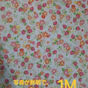 ☆期間限定特別価格☆ 小さいイチゴ柄生地 アイボリーピンク 綿100% イチゴ柄 いちご柄 小さいイチゴ柄 イチゴ 小花柄 生地