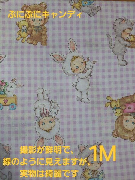 ぷにぷにキャンディ チェック柄 パープル キルトゲイト