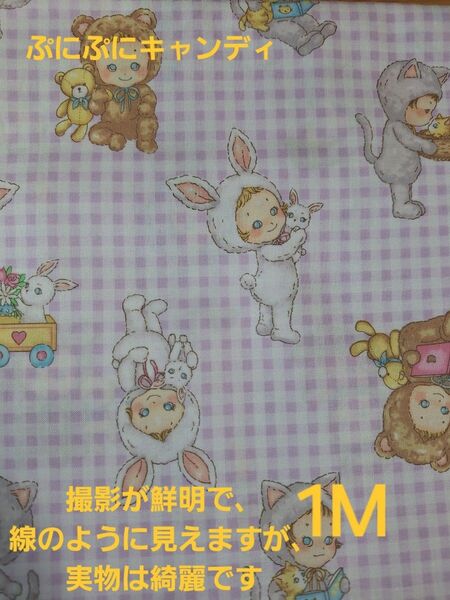 ぷにぷにキャンディチェック柄 パープル キルトゲイト生地