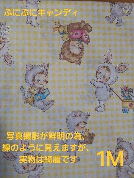 ぷにぷにキャンディ チェック柄 イエロー キルトゲイト生地