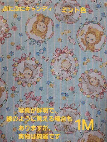 ぷにぷにキャンディビーズ柄 ミント色 キルトゲイト