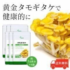 タモギタケ 約6か月分 C-128 健康 サプリ リプサ Lipusa