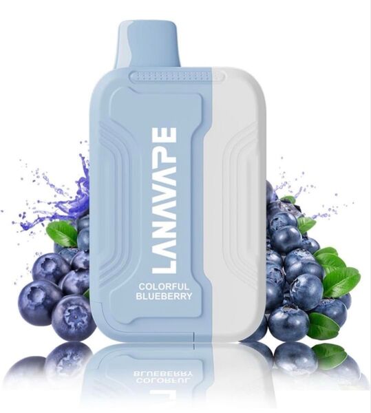 LANAVAPE 電子タバコ シーシャ Vape 本体 ブルーベリー 15000回吸引可能 大容量 カートリッジ交換可能