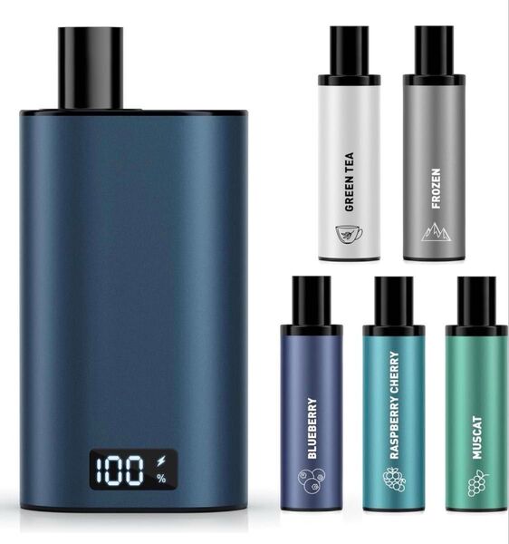 【本体、フレーバー5種類付き】電子タバコ スターターセット シーシャ vape べイプ 水蒸気タバコ ネイビー DBL BOX