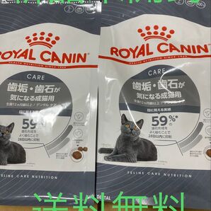 ロイヤルカナン デンタル ケア 歯垢・歯石が気になる成猫用 新品未開封 400g
