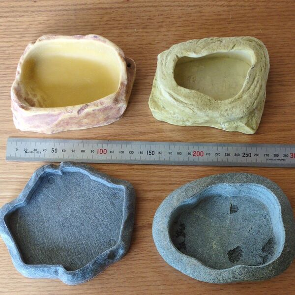 爬虫類 餌皿 4個 フィーディングディッシュ