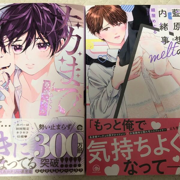 百瀬あん ナカまであいして5 綴屋めぐる 会社員 藍原想の内緒事 melt
