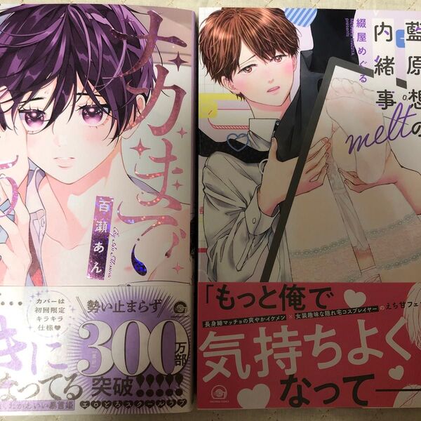 百瀬あん ナカまであいして5 綴屋めぐる 会社員 藍原想の内緒事 melt