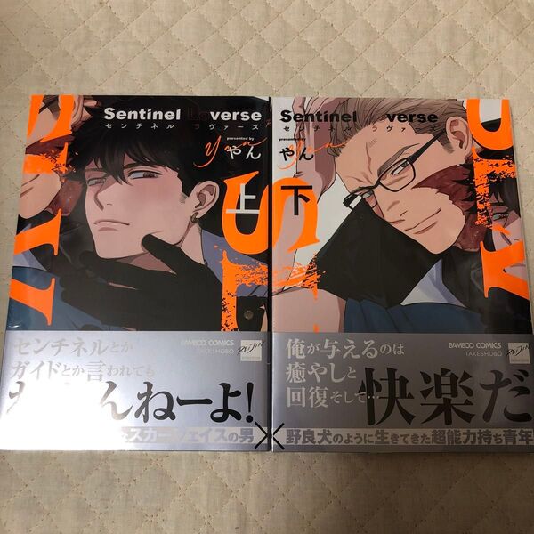 やん Sentinel Loverse 上下