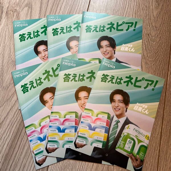 目黒蓮 ネピア リーフレット パンフレット めめ