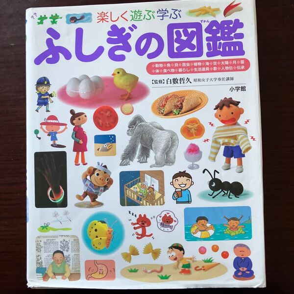 楽しく遊ぶ学ぶふしぎの図鑑 (小学館の子ども図鑑プレNEO) 白數哲久/監修
