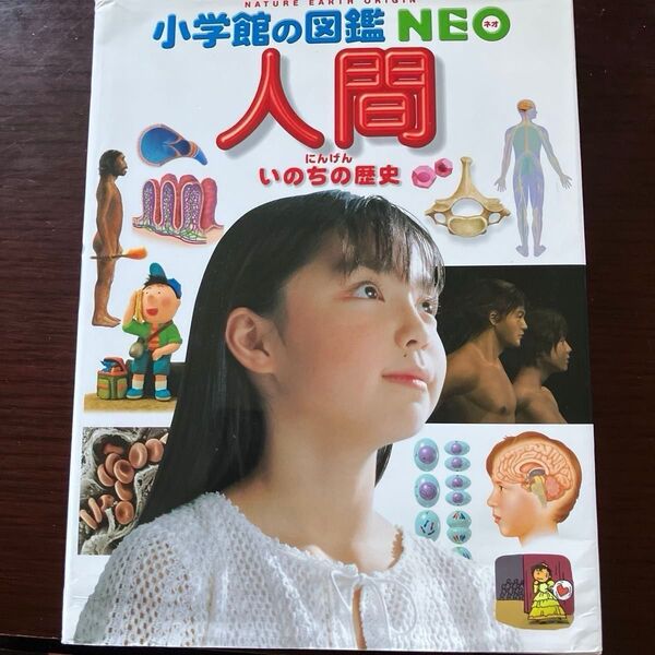 小学館の図鑑NEO 人間 いのちの歴史