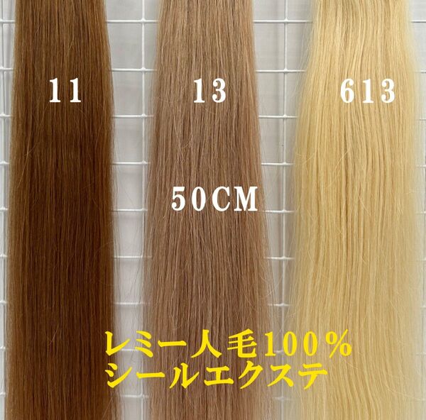 シールエクステ レミー人毛100% 人毛シールエクステ 50CM ハイトーン