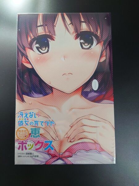 【未開封】冴えない彼女の育てかた 加藤恵 抱き枕カバー