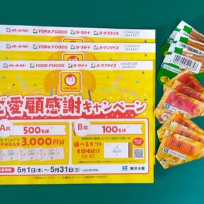 マルちゃん ご愛顧キャンペーン イトーヨーカドー YORK FOOSDS ヨークマート ヨークプライス 応募ハガキ バーコード