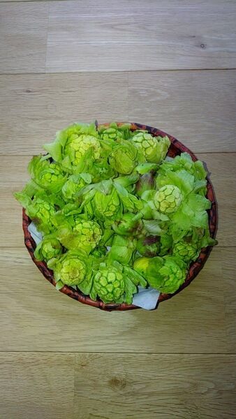高地ふきのとう長野県産300g