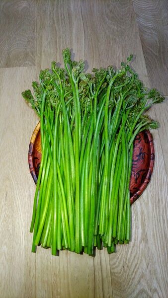 B級品わらび長野県産600g