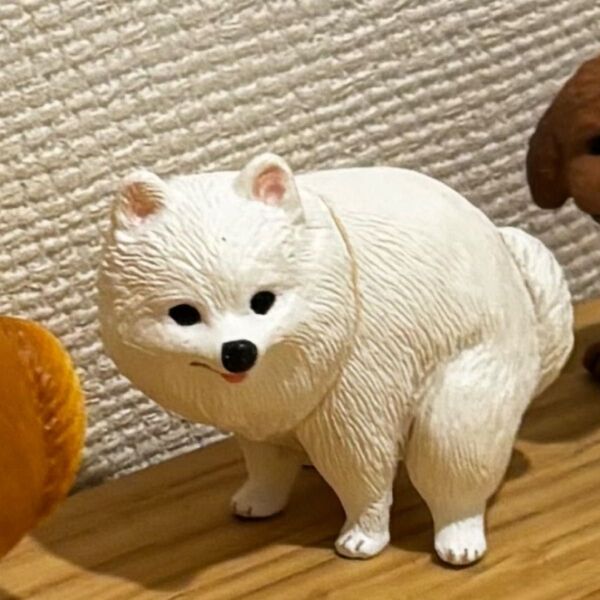新品未使用 ふんばりーぬ ポメラニアン フィギュア ガチャ ガチャガチャ 犬 イヌ