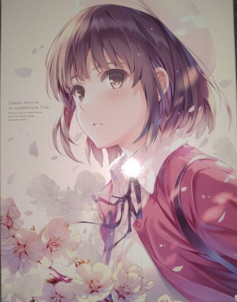 【国内盤ブルーレイ】 冴えない彼女の育てかた Fine
