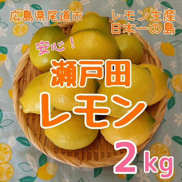 広島県 瀬戸田レモン 2kg 減農薬 産地直送