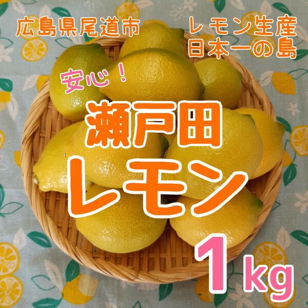 広島県 瀬戸田レモン 1kg 減農薬 産地直送