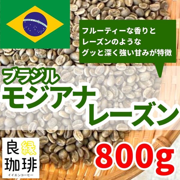 ブラジル モジアナ レーズン 生豆 800g Qグレード スペシャリティ コーヒー