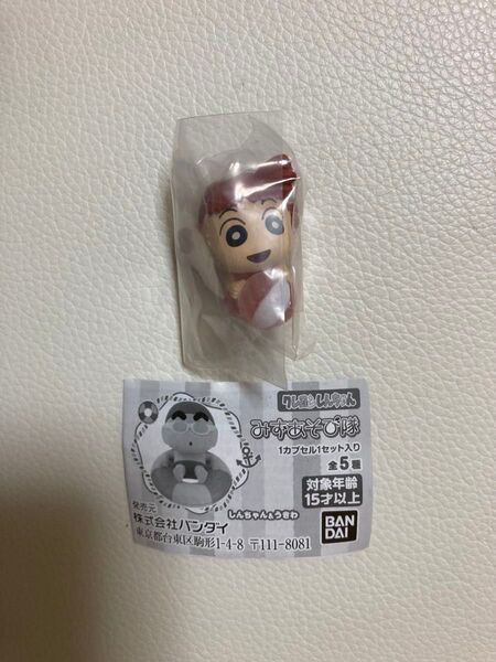 クレヨンしんちゃん みずあそび隊