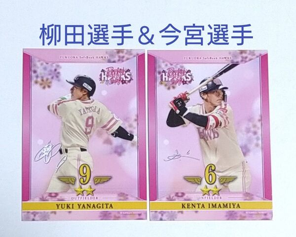 柳田選手&今宮選手 タカコレ ピンクフルバージョン 2025年 ソフトバンクホークス