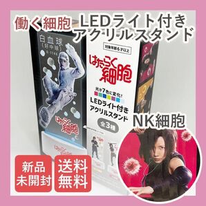 はたらく細胞 NK細胞 アクリルスタンド LEDライト付き 仲里依紗