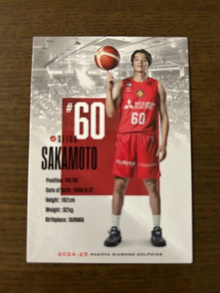 【非売品】名古屋ダイヤモンドドルフィンズ 限定トレーディングカード 坂本聖芽