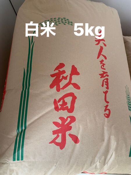 2024年秋田県産あきたこまち 5kg 白米