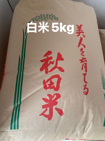 2024年秋田県産 あきたこまち白米5キロ