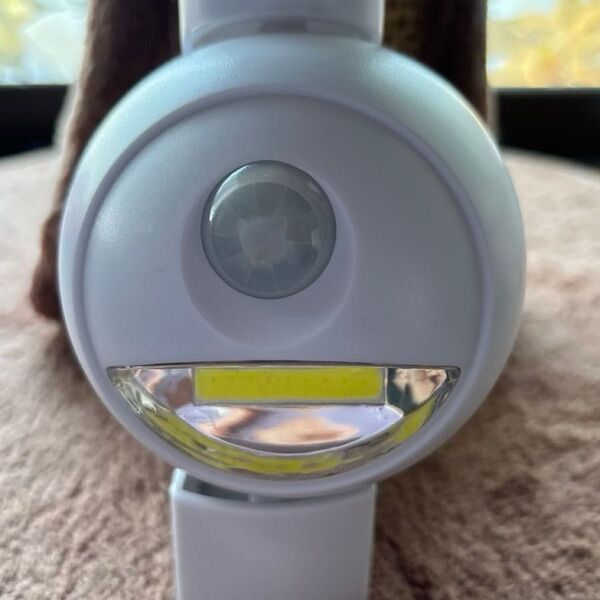 大進 DAISHIN センサーライト DLA-N4T200 AC LED 人感センサーライト 屋外