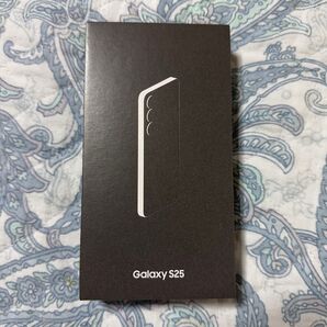 Samsung Galaxy S25 lcyblue(256GB)