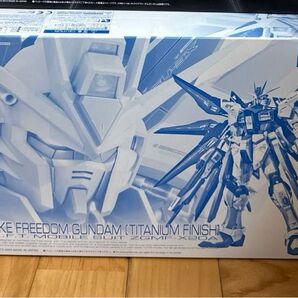 RG チタニウムフィニッシュ ストライクフリーダムガンダム DESTINY