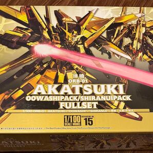 最終値引き!アカツキガンダム オオワシパック/シラヌイパック フルセット 1/100 新品/未開封 海外版
