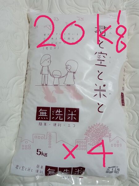 白米 無洗米 5kg×4袋 20kg